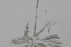 Skizze-Einer-Jupiter-Pflanz